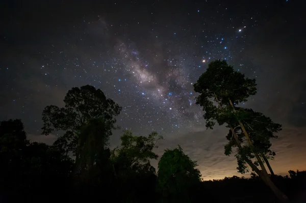 银河系, 夜空与惊人的星星的树. — 图库照片