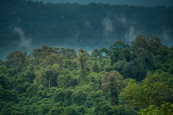 Landschaft mit Bergen bedeckte Wälder, Thailand — Stockfoto