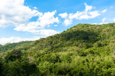 Herdem yeşil orman, Khao Yai Milli Parkı Tayland tepe