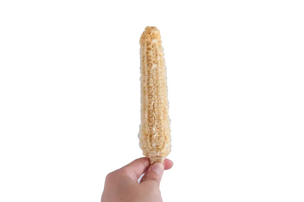 Boiled corn isolated on white background — Stock Photo, Image