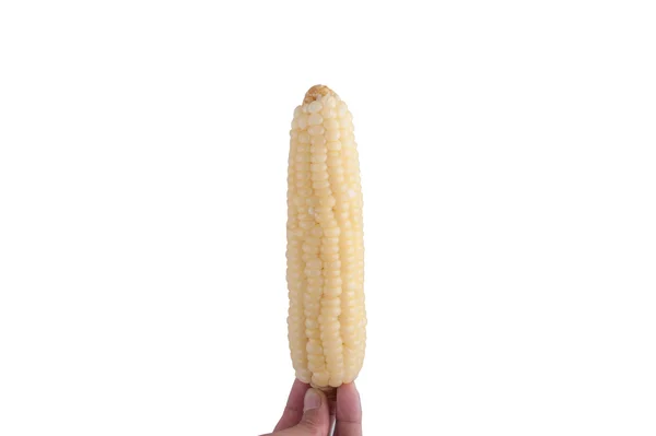 Boiled corn isolated on white background — Stock Photo, Image