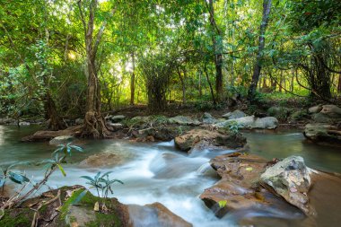 Şelale, yeşil orman, dere manzarası, Tayland 'daki tropikal ormanda saklı şelale..