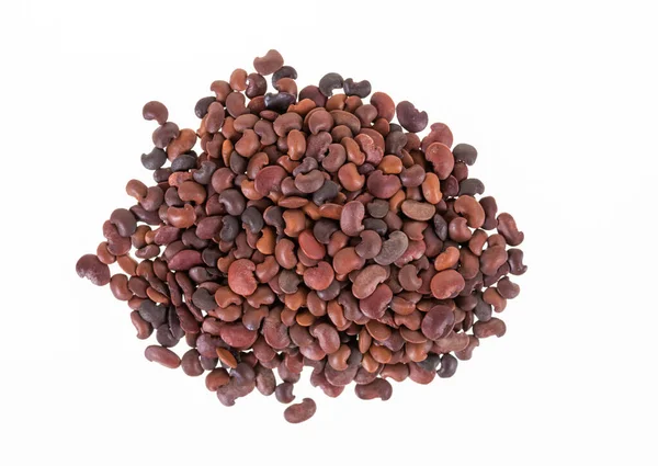 Dalbergia Cultrata Graham Benth Seeds White Background — Stock Photo, Image