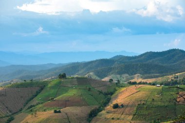 Pirinç teraslarının manzarası ve Tayland 'ın kuzeyindeki Pa-pong-peang pirinç terasında doğada güzel şekilli bir ev. Köy pirinç teraslarının arasında bir vadide. Mae-Jam Village Chiang Mai, Tayland 'daki Terrace Paddy Field' de..