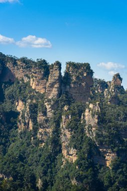 Avatar Dağları manzarası, Zhangjiajie Ulusal Orman Parkı, Çin. Bu ulusal park Avatar filminin ilham kaynağıydı..