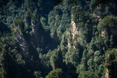Avatar Dağları manzarası, Zhangjiajie Ulusal Orman Parkı, Çin. Bu ulusal park Avatar filminin ilham kaynağıydı..