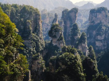Zhangjiajie Ulusal Orman Parkı 'ndaki (Wulingyuan) Tianzi Dağları' nın (Avatar Dağları) doğal kuvars sütunlarının muhteşem manzarası, Hunan Eyaleti, Çin. Muhteşem bir manzara. Bu ulusal park Avatar filminin ilham kaynağıydı..