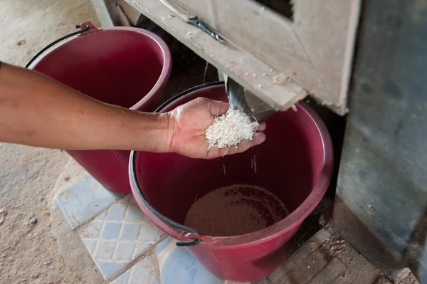 yaşlı ellerde pirinç