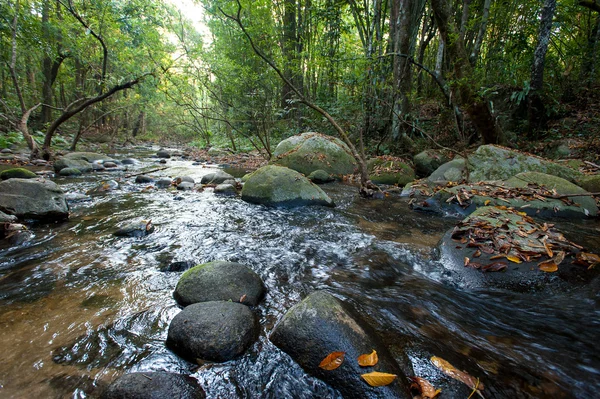 Hermosa composición del paisaje, Tailandia —  Fotos de Stock