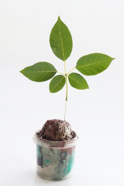 Beyaz arkaplanda bırakır