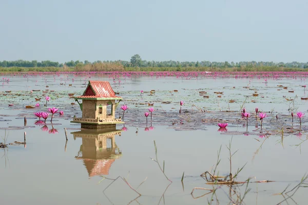 Alluvione Thailandia 2011 — Foto Stock