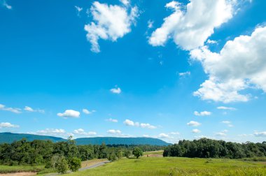 tarla ve mavi gökyüzü