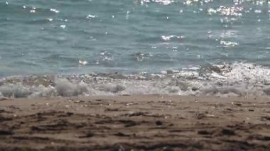 kumlu bir plaj üzerinde rulo dalgalar