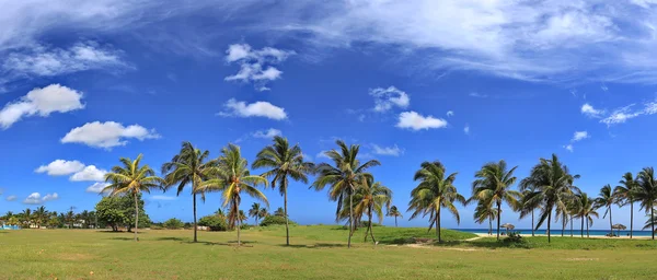 Caribische tropische strand met mooie witte zand, turquoise water en palm bomen in Tarara (Havana, Cuba). Panoramisch uitzicht — Stockfoto