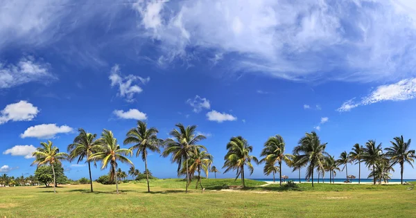 Caribische tropische strand met mooie witte zand, turquoise water en palm bomen in Tarara (Havana, Cuba). Panoramisch uitzicht — Stockfoto