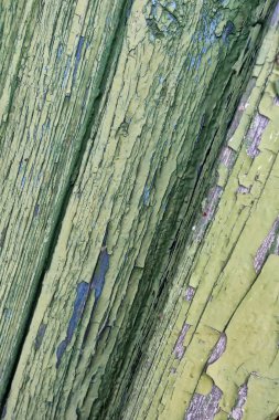 Soyulması boya ile vintage eski püskü yeşil ahşap arka plan