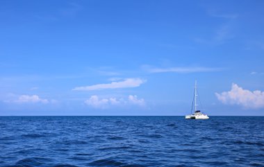 Masmavi tropikal deniz yalnız white yat