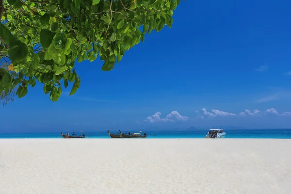 Phi-phi, thailand - 02 april 2014: der strand der wunderschönen tropischen bambusinsel — Stockfoto