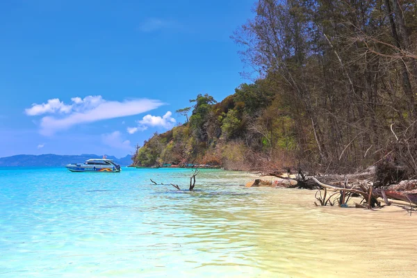 Phi-phi, thailand - 02 april 2014: der strand der wunderschönen tropischen bambusinsel — Stockfoto