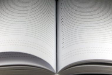 Ajandam çizgili yaprak ortada açıklanması ile