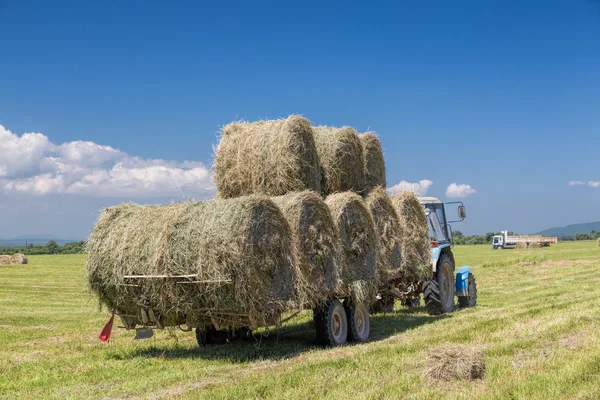 Saman balya toplama traktör