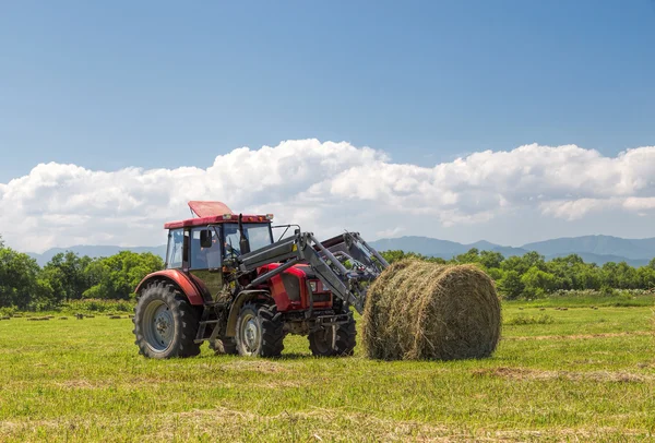 Tractor collecting straw bales Stock Picture