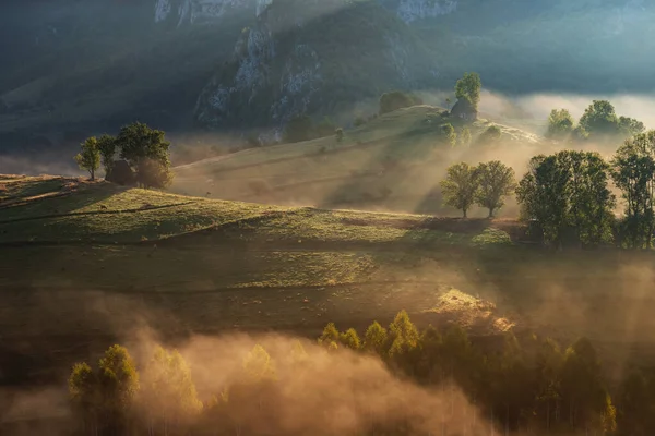 Mountain Landscape Morning Fog Forest Edge Apuseni Mountains Romania — Stock Photo, Image
