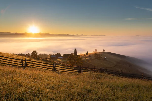 森の端ブコビナルーマニアのブコビナの朝の霧の山の風景 — ストック写真