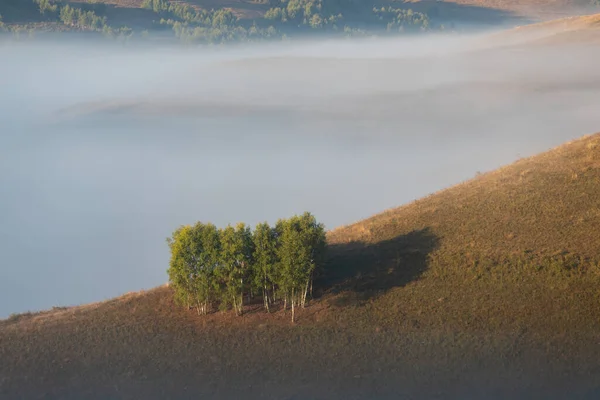 Paisagem Outono Floresta Nebulosa — Fotografia de Stock