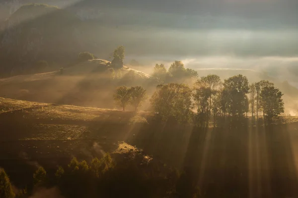 Paisagem Outono Floresta Nebulosa — Fotografia de Stock