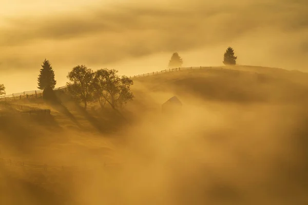 Bergslandskap Med Morgondimma Vid Skogsbrynet Bukovina Rumänien — Stockfoto