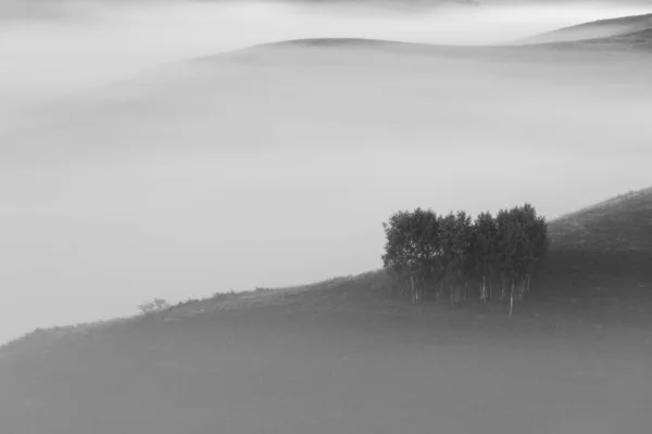 Herbstliche Landschaft Nebliger Wälder — Stockfoto