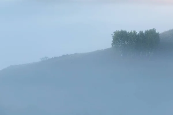 Őszi Táj Ködös Erdő — Stock Fotó