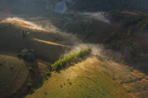 Vista Aérea Paisagem Montanhosa Com Nevoeiro Matinal Borda Floresta Roménia — Fotografia de Stock