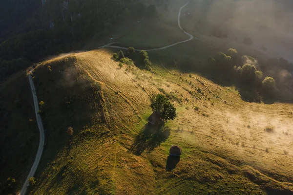 Vista Aérea Paisagem Montanhosa Com Nevoeiro Matinal Borda Floresta Roménia — Fotografia de Stock