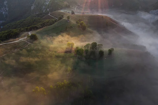 Vista Aérea Paisagem Montanhosa Com Nevoeiro Matinal Borda Floresta Roménia — Fotografia de Stock