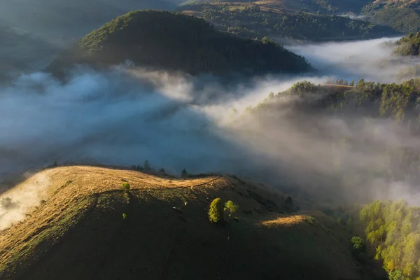 Vista Aérea Paisagem Montanhosa Com Nevoeiro Matinal Borda Floresta Roménia — Fotografia de Stock