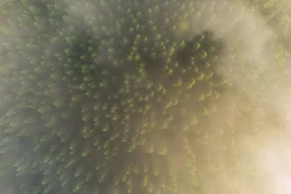 Vista Aérea Paisagem Montanhosa Com Nevoeiro Matinal Borda Floresta Roménia — Fotografia de Stock