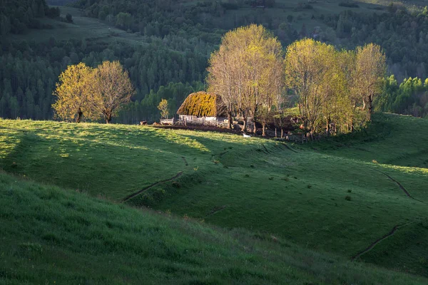 トランシルヴァニアの緑の丘の間の美しい春の風景 ドゥメスティ — ストック写真