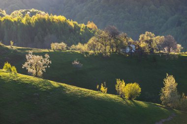 İlkbaharda, Karpat dağlarının vadilerinde uzak Romen köyü olan kırsal dağ manzarası