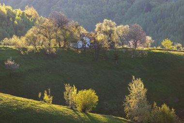 İlkbaharda, Karpat dağlarının vadilerinde uzak Romen köyü olan kırsal dağ manzarası