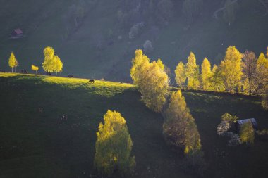 İlkbaharda, Karpat dağlarının vadilerinde uzak Romen köyü olan kırsal dağ manzarası