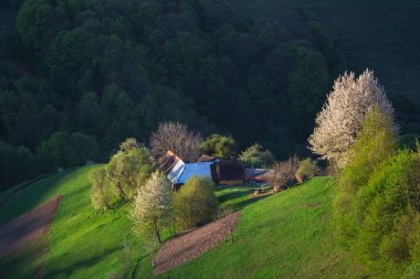 İlkbaharda, Karpat dağlarının vadilerinde uzak Romen köyü olan kırsal dağ manzarası