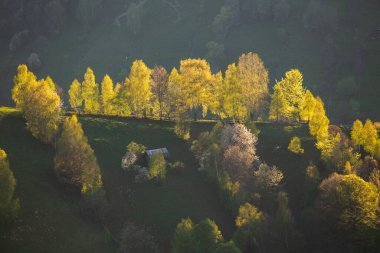 İlkbaharda, Karpat dağlarının vadilerinde uzak Romen köyü olan kırsal dağ manzarası