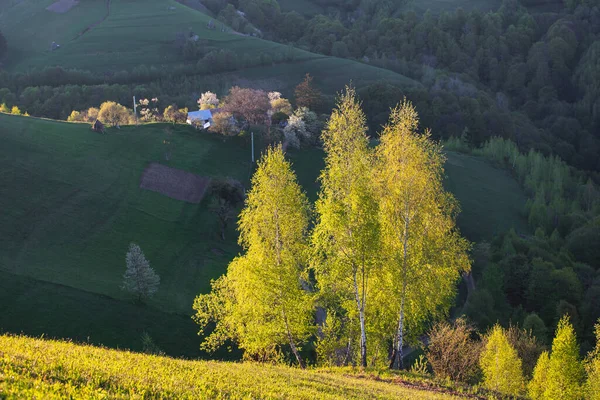 Paisagem Montanhosa Rural Com Remota Aldeia Romena Subindo Nos Vales — Fotografia de Stock