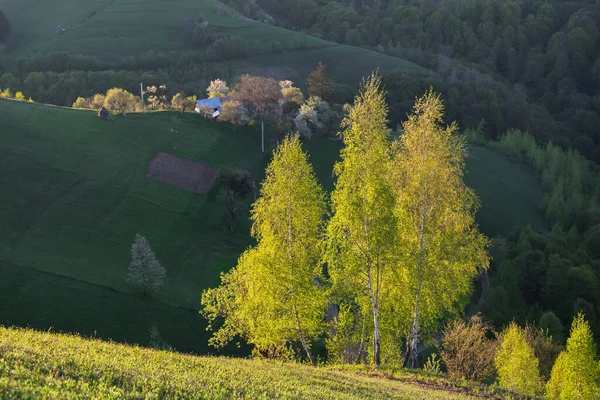 Paisagem Montanhosa Rural Com Remota Aldeia Romena Subindo Nos Vales — Fotografia de Stock