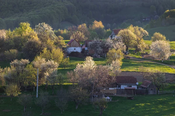Vidéki Hegyvidéki Táj Távoli Román Faluval Kárpátok Völgyeiben Tavasszal — Stock Fotó
