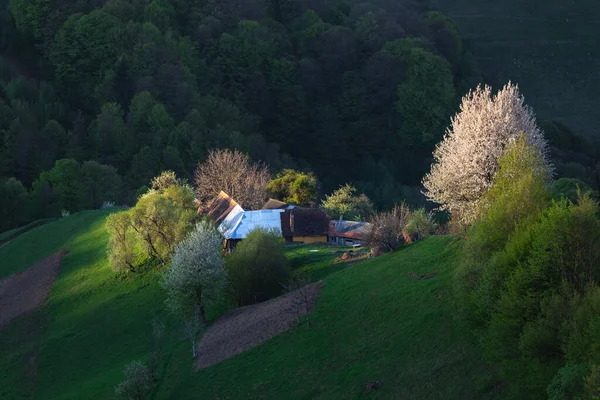 Paisaje Rural Montaña Con Remoto Pueblo Rumano Cuesta Arriba Los —  Fotos de Stock