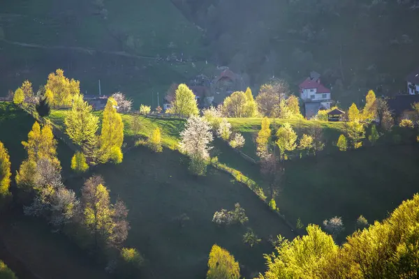 Paisagem Montanhosa Rural Com Remota Aldeia Romena Subindo Nos Vales — Fotografia de Stock