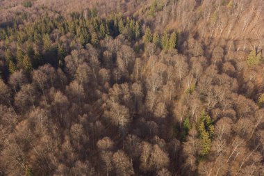 Bahar zamanı dağ yolunun havadan görünüşü. Dağ yolunda giden arabalar ormanı kesiyor. Romanya 'nın Allah Brasov kentine giden yolun üzerindeki dağ manzarası